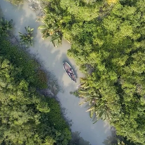 Sundarban Tour Package