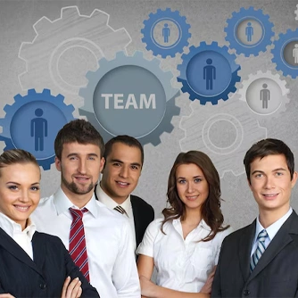 Experienced Team