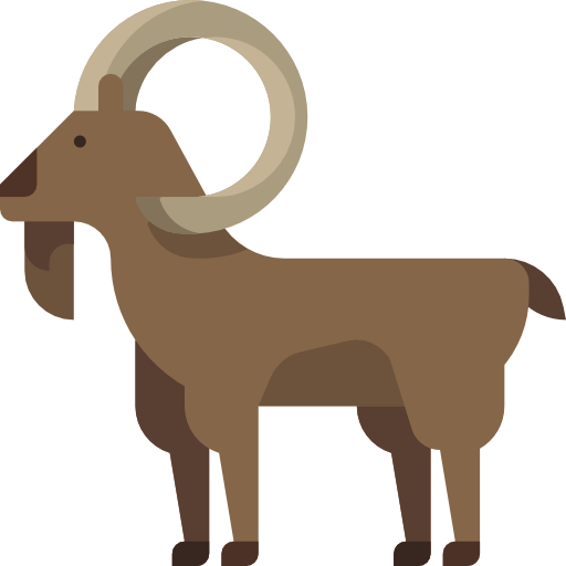 Goatskin